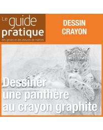 Dessiner une panthère au crayon graphite - Guide Pratique Numérique