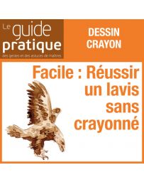 Facile : réussir un lavis sans crayonné - Guide Pratique Numérique