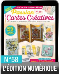 TÉLÉCHARGEMENT : Passion Cartes Créatives 58 en version numérique