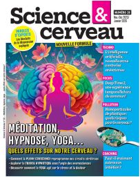 Méditation, Hypnose, Yoga - Science et Cerveau n°28