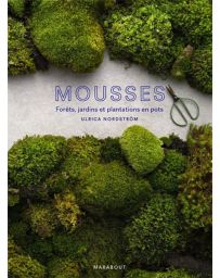 Mousses - Forêts, jardins et plantations en pots
