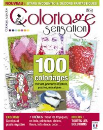 Coloriage Sensation n°6 - 100 coloriages Word Art, peintures mystère, puzzles, points à relier