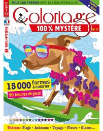 Coloriage 100% Mystère 17 -  70 heures de jeux
