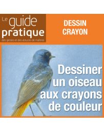 Dessiner un oiseau aux crayons de couleur - Guide Pratique Numérique
