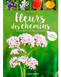 Fleurs des Chemins - Thierry Menard