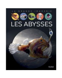 Les abysses - Laure Cambournac