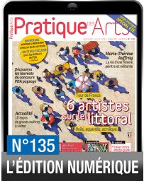 TELECHARGEMENT - Pratique des Arts numéro 135 - Le Tour de France des artistes