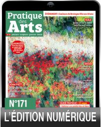TÉLÉCHARGEMENT : Pratique des Arts 171 en version numérique