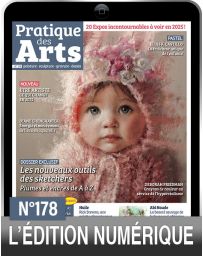 TÉLÉCHARGEMENT : Pratique des Arts 178 en version numérique