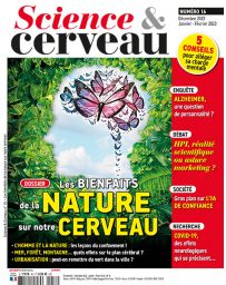 Science et cerveau 16 - Les bienfaits de la nature sur notre cerveau