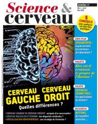Cerveau gauche Cerveau Droit quelles différences ? - Science et Cerveau 17