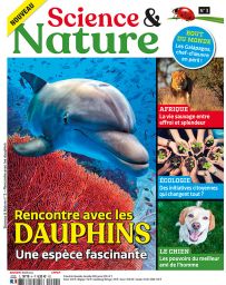 Science et Nature 3 - Rencontre avec les dauphins, une espèce fascinante