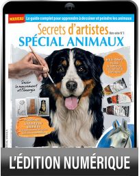 TÉLÉCHARGEMENT - Spécial Animaux - Secrets d'artistes hors-série n°1