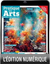 Pratique des Arts 183 - Les détails cachés qui attrapent la lumière - Version numérique
