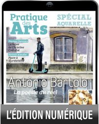 TÉLÉCHARGEMENT : Cahier spécial AQUARELLE 51 - Pratique des Arts