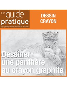 Dessiner une panthère au crayon graphite - Guide Pratique Numérique