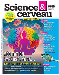 Méditation, Hypnose, Yoga - Science et Cerveau n°28