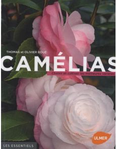 Camélias - Choisir et cultiver les meilleures variétés