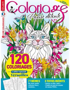 Coloriage Pause Détente n°2 - 120 coloriages - Cahier spécial Versailles - Magazine de Diverti Editions