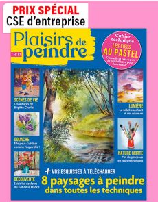 1 AN d'abonnement à Plaisirs de Peindre