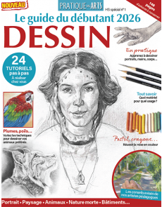 Maîtrisez le DESSIN - Pratique des Arts hors-série spécial n°1