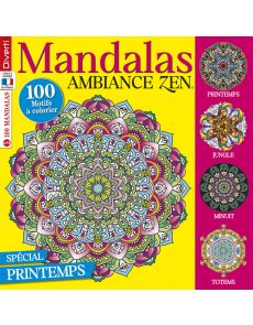 Mandalas Ambiance Zen 13 - 100 motifs à colorier