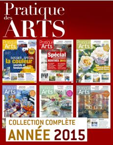 Collection Pratique des Arts 2015 : 6 numéros collectors