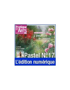 Téléchargement du Cahier spécial Pastel n°17 - Pratique des Arts
