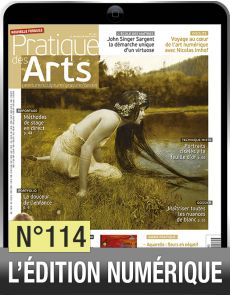 Téléchargement de Pratique des Arts n°114 + Agenda Artistique