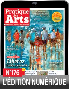 TÉLÉCHARGEMENT : Pratique des Arts 176 en version numérique