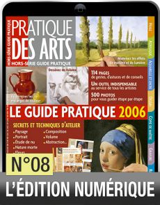Téléchargement Hors-série GUIDE PRATIQUE n°8 Pratique des Arts