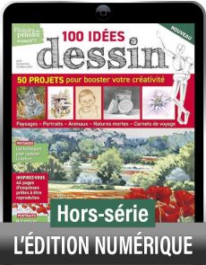 TELECHARGEMENT : 100 idées DESSIN - Plaisirs de Peindre hors-série