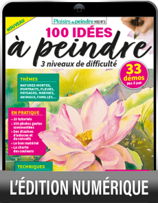 TELECHARGEMENT - 100 Idées à peindre - Plaisirs de Peindre hors-série spécial n°3