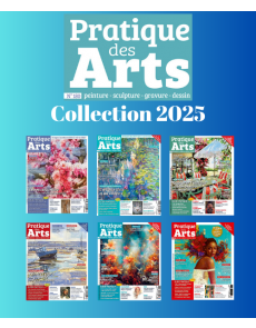 Collection Pratique des Arts 2025 : 6 numéros collectors