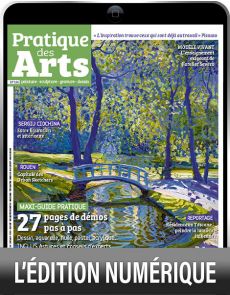 Pratique des Arts 186 - Lumières, Portraits et Paysages d'exception - Version numérique