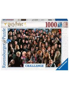 Puzzle - Harry Potter Challenge Puzzle 1000 pièces