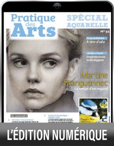 TÉLÉCHARGEMENT : Cahier spécial AQUARELLE 52 - Pratique des Arts