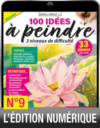 TELECHARGEMENT : 100 idées à peindre en version numérique