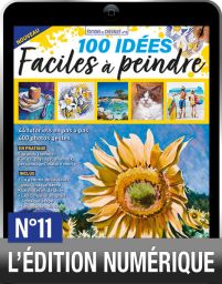 TELECHARGEMENT : 100 idées faciles à peindre version numérique