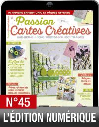 TÉLÉCHARGEMENT : Passion Cartes Créatives 45 en version numérique