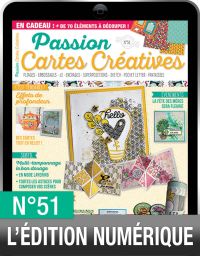 TÉLÉCHARGEMENT : Passion Cartes Créatives n°51 en version numérique