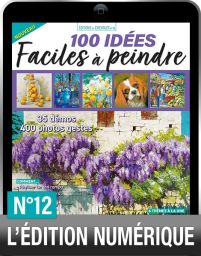 TELECHARGEMENT : 100 idées à peindre n°12 version digitale