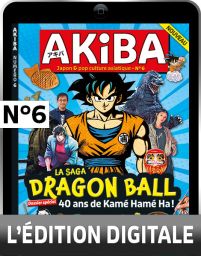 La revue Akiba n°6 en numérique version digitale