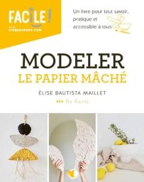 Modeler le papier mâché Achat Livre DIY 9782814106505