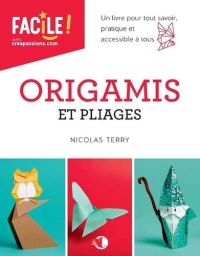 Origamis et pliages de Nicolas Terry Livre Loisirs créatifs 9782814106789