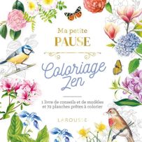 Ma Petite Pause Coloriage Zen - 1 livre de conseils et de modèles et 72 planches prêtes à colorier - 9782035953674 - Larousse - livre en vente sur divertistore