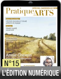 TÉLÉCHARGEMENT - Cahier spécial aquarelle 15 - Pratique des arts - Achat Diverti Store