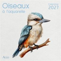 Couverture du "Calendrier 2027 Oiseaux à l'aquarelle" publié par Artémis éditions. Sur un fond texturé rappelant le papier à dessin à grain, une magnifique peinture à l'aquarelle représente un oiseau exotique (un martin-chasseur ou Kookaburra) perché sur 