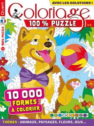 Coloriage 100% Mystère 14 - 15 000 formes à colorier - Magazine de Diverti Editions