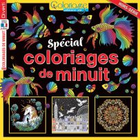 Livre de Coloriages de minuit - 60 pages à colorier